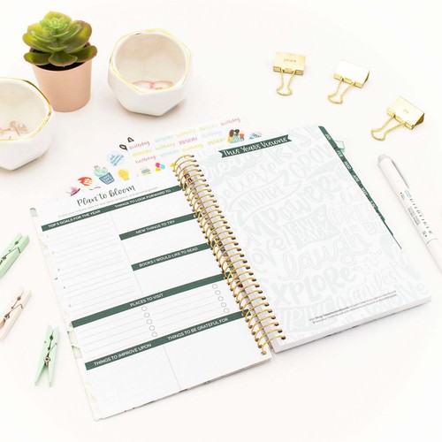 Bloom Daily Planners Planificador de Cubierta Suave Sin Fecha, 5.5" x 8.25", Eucalipto - Imagen 8 de 15