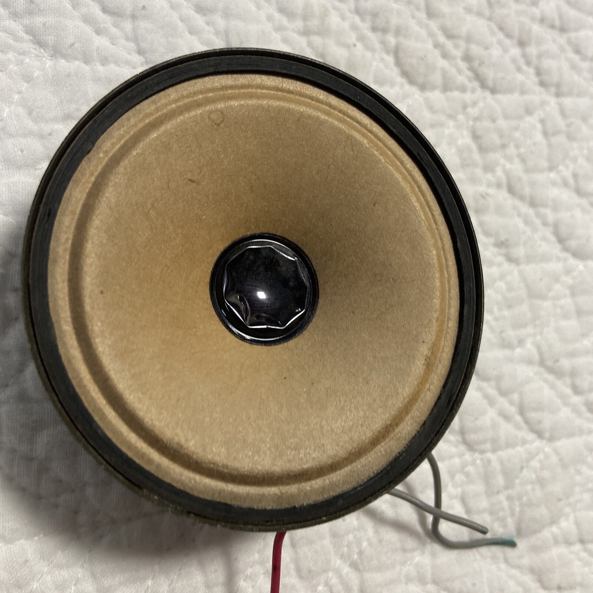 BOSE 101TR 1ホン ヨドバシ.com - ボーズ BOSE 101TR ハイインピーダンス