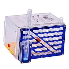 ANT Housing Nest DIY Educational ANT Farm for Children's Day Lovers Birthday