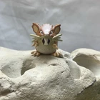 Vintage TOMY Pokemon RATICATE 1.5" Mini Figure Nintendo CGTSJ Collectible Toy