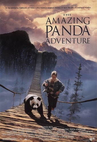 THE AMAZING PANDA ADVENTURE MOVIE POSTER 2 Sided ORIGINAL VF 27x40 STEPHEN LANG