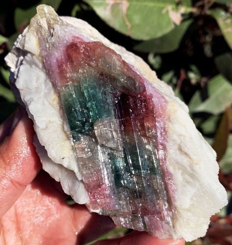 Muestra de piedra áspera cristal turmalina color sandía natural 310 g ip1633 - Imagen 6 de 16