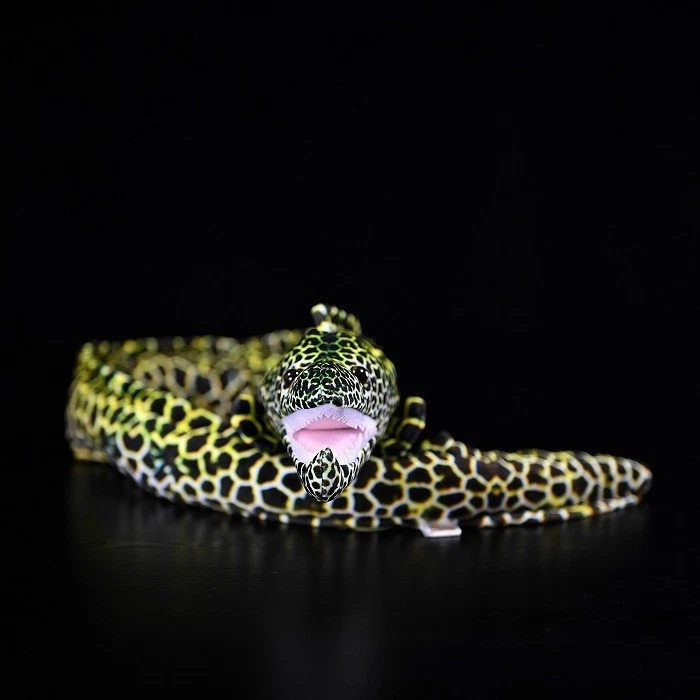 Honeycomb Moray Eel 19 Inch Stuffed Animal Plush Toys Toddler Doll Kids Gifts - Image 2 of 4