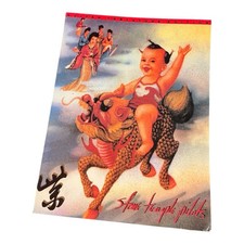 Stone Temple Pilots Guitar Tablature Edition Music Book Amsco 1994