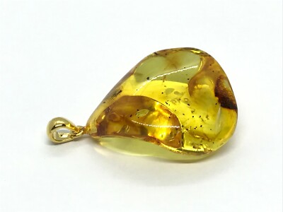 Amber Pendant With Insect Fossil Insects Inclusion Drop Silver 925