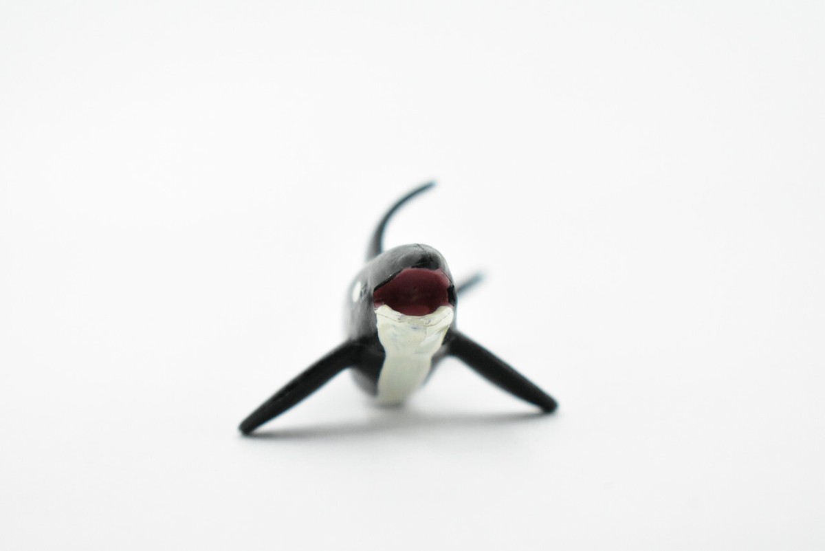 Orca, Killer Whale, Rubber Animal, Realistic Toy Figure, Model 3