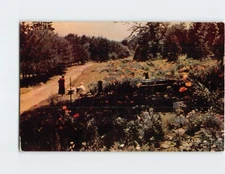 Postcard Petrified Sea Gardens Saratoga Springs NY