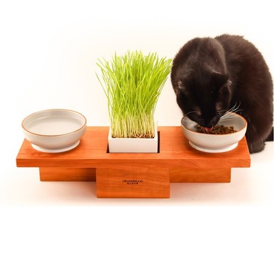 Handcrafted Cherry Wood Raised Cat Feeding Station with Center Grass & Plant Pot