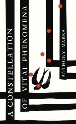 A Constellation of Vital Phenomena - Marra, Anthony