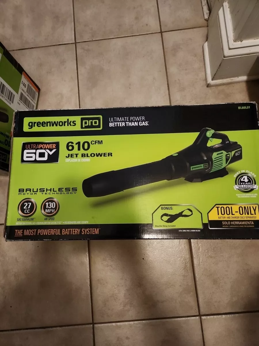 Greenworks bl60l00 deals