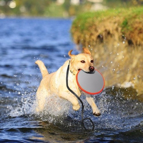 1.8/9/15/30M Dog Lead Leash Long Nylon Pet Puppy Training Obedience Recall Track - Picture 11 of 17