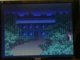 PCE WORKS Ver. SPLATTER HOUSE FM TOWNS / MARTY  Beat 'em up Game, tested-e0221--
