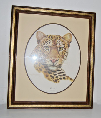 Leopard Large Framed Picture Jim Oliver Signed Panthera Pardus 27.5''x23.5''
