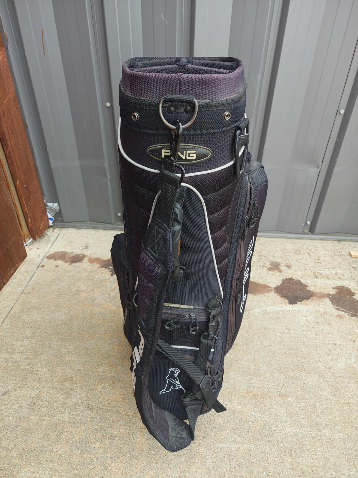 Cart Bag Black/white W Raincover