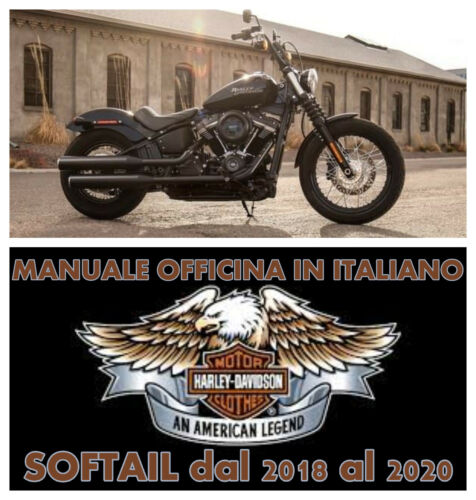 MANUALE OFFICINA ITALIANO HARLEY-DAVIDSON SOFTAIL 2018 al 2020 VIA E-MAIL - Foto 1 di 7
