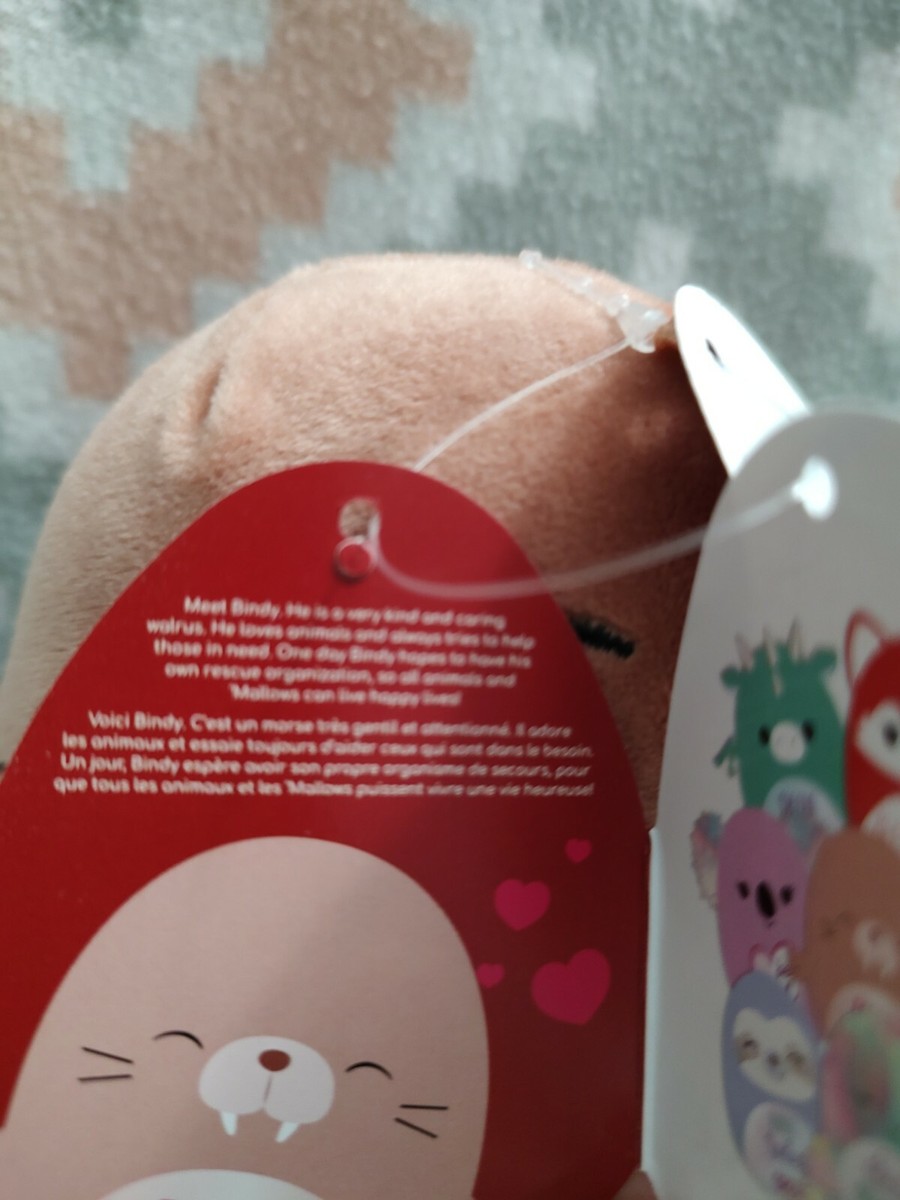 Squishmallow Plüschtier Bindy Das Walross - 20,3 Cm Kuscheliges Stofftier Mit Inspirierenden Botschaften