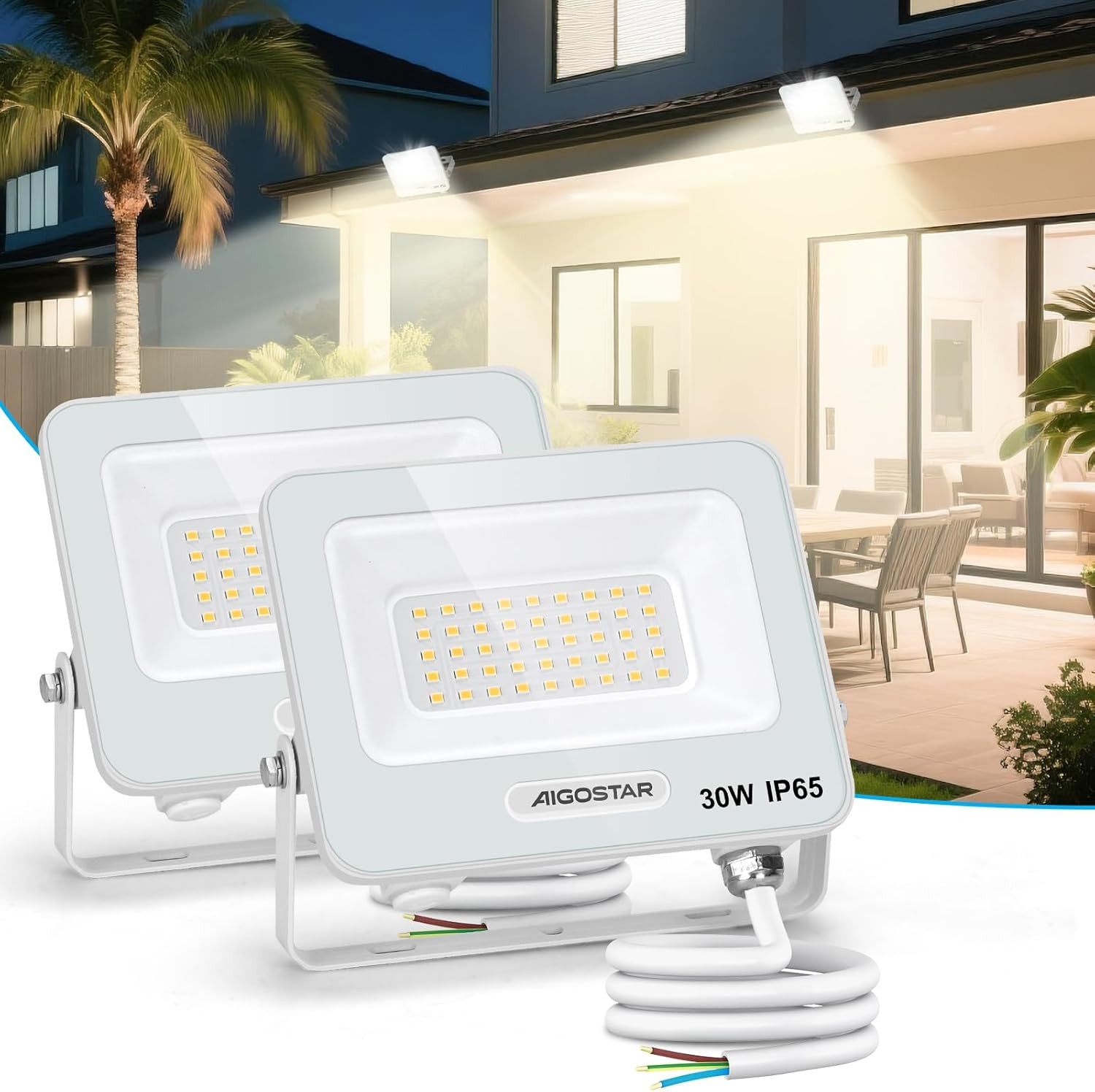 Faretto LED 30W per Giardino: Luce Chiara 4000K IP65 contro il Buio