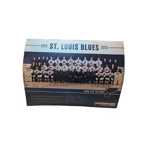 St. Louis Blues Hockey NHL 2012-2013 Vintage Team Poster 18" x 24" - Picture 1 of 24