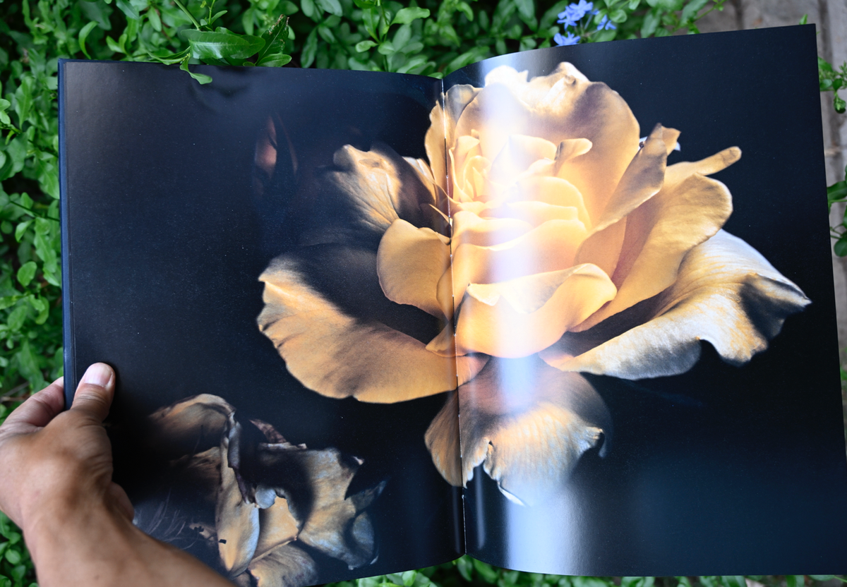 Roses, David Sims Photo Book Visionaire #40 Loose 8x10 signed