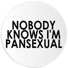 Nobody Knows I'm Pansexual - 3 Pack Circle Stickers 3 Inch - LGBTQ+ Pride