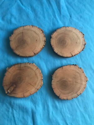 New 3.5  Diameter Round Natural Wood Slices Plaques Wood Burning Planks Coasters