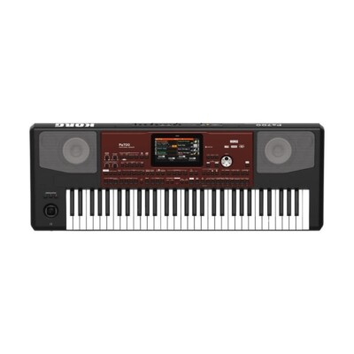 KORG Tastatur PA700 Professional Arranger Touchscreen Kompaktes Design 61 Tas...