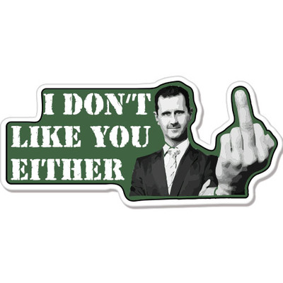 I Don't Like You Either car bumper sticker decal 8'' x 3''