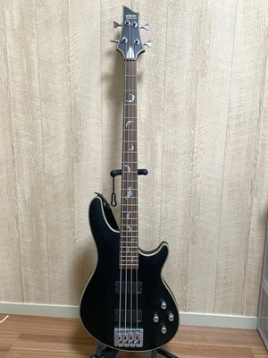 SCHECTER DAMIEN PLATINUM-4 SBK Safe packing!