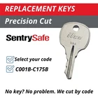 Sentry Safe Keys Firebox Cash Box Replacement Key Cut to your Code C001B-C175B