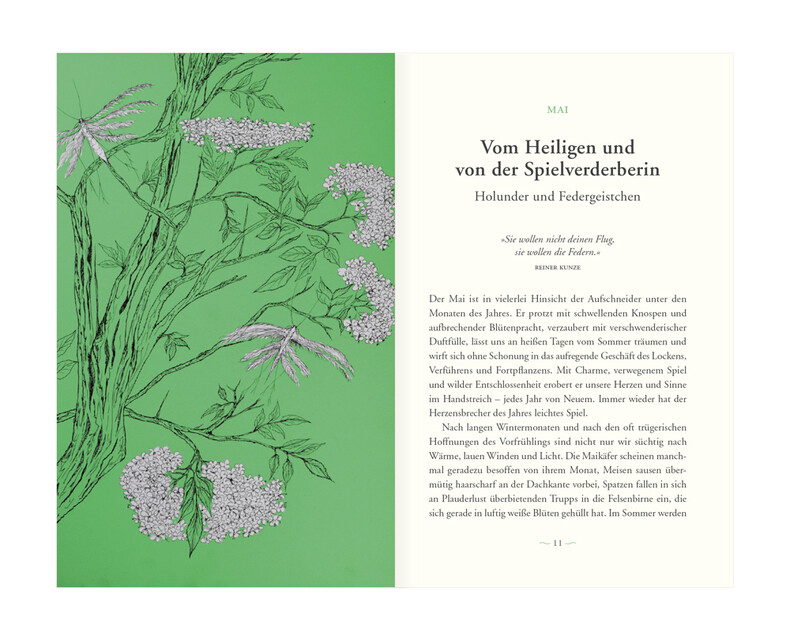 Thumbnail - Überall Ist Garten Eva Rosenkranz