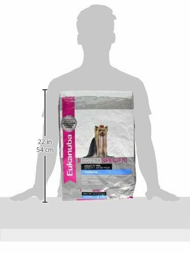 eukanuba adult breed specific yorkshire terrier