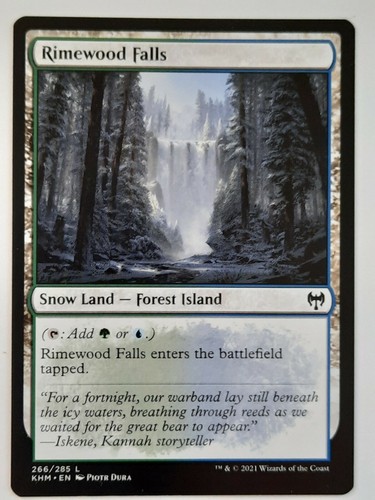 MTG 2021 Kaldheim RIMEWOOD FALLS 266/285 Basic Land M/NM - 第 1/3 張圖片
