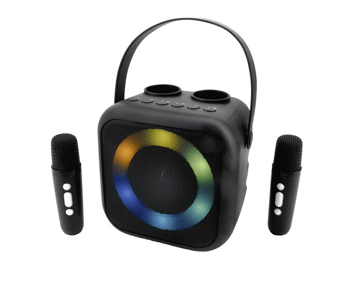 Soundmaster Bt2024sw Karaoke-anlage Inkl. Mikrofon, Wiederaufladbar