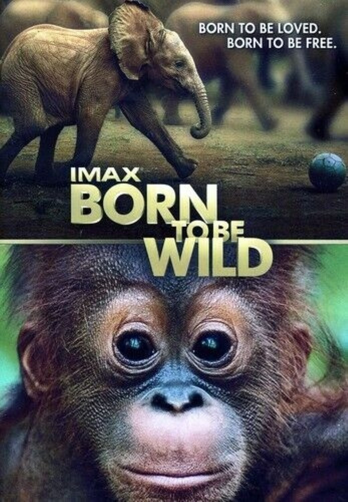 IMAX: Born to Be Wild [Region 1] DVD FREE SHIPPING
