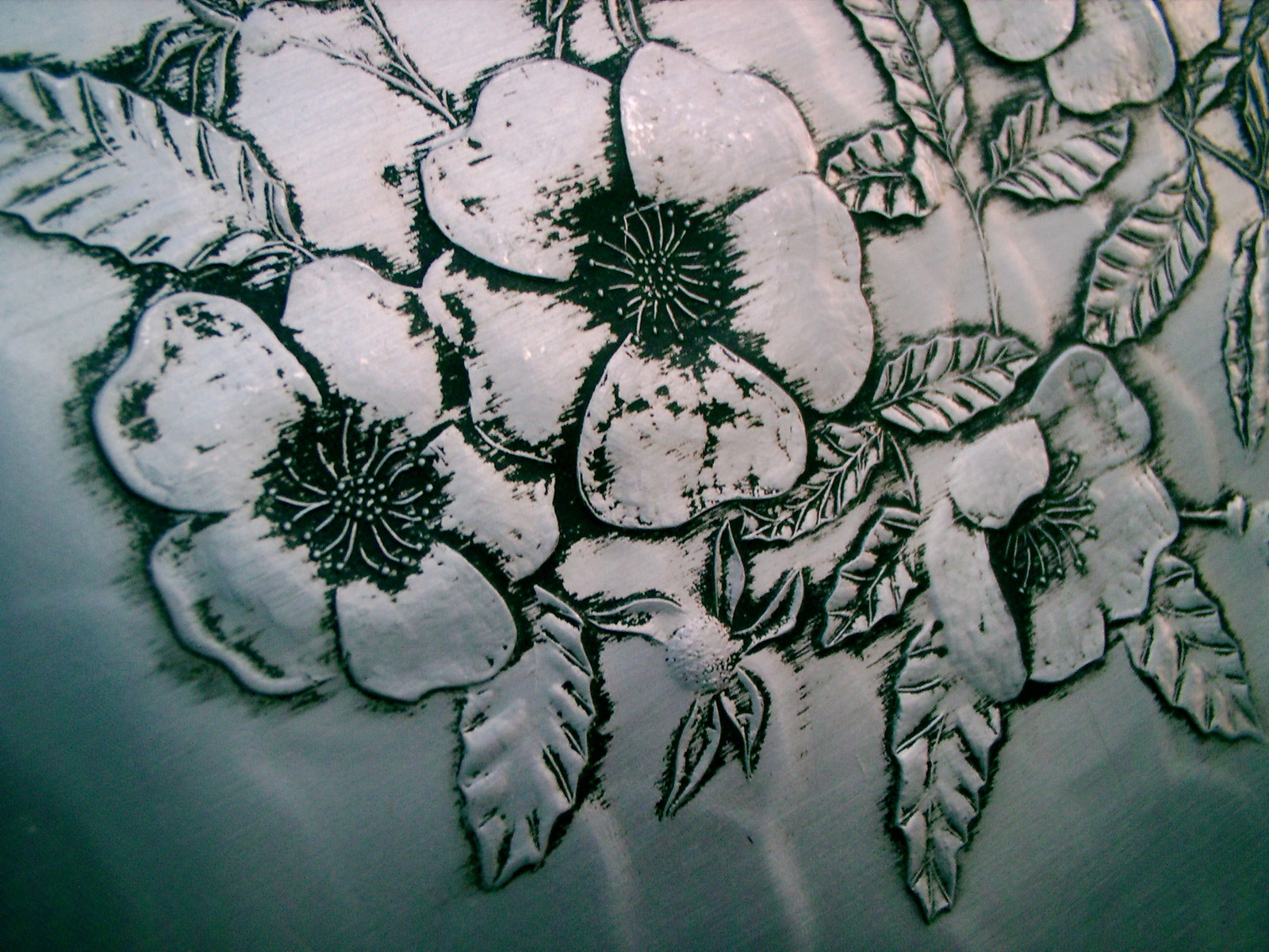 Picture 8 of 11