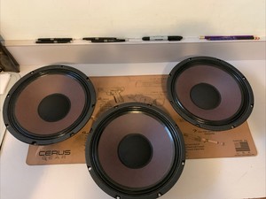 ragin cajun speaker 10