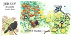 2007 Jersey Birdlife (1st series) Garden Birds Mini Sheet First Day Cover
