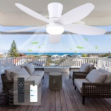 LED Deckenventilator 66-110cm mit Licht & Reverse Motor Fernbedienung & App