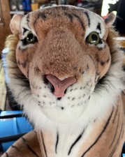 Realistic Large Plush Tiger Stuffed Toy Animal 70 To End Of Tail