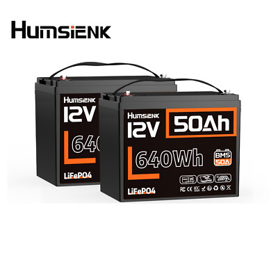 24V/12V 50Ah 2Pack Lithium LiFePO4 Battery 1280Wh Deep Cycle BMS For RV Off-grid