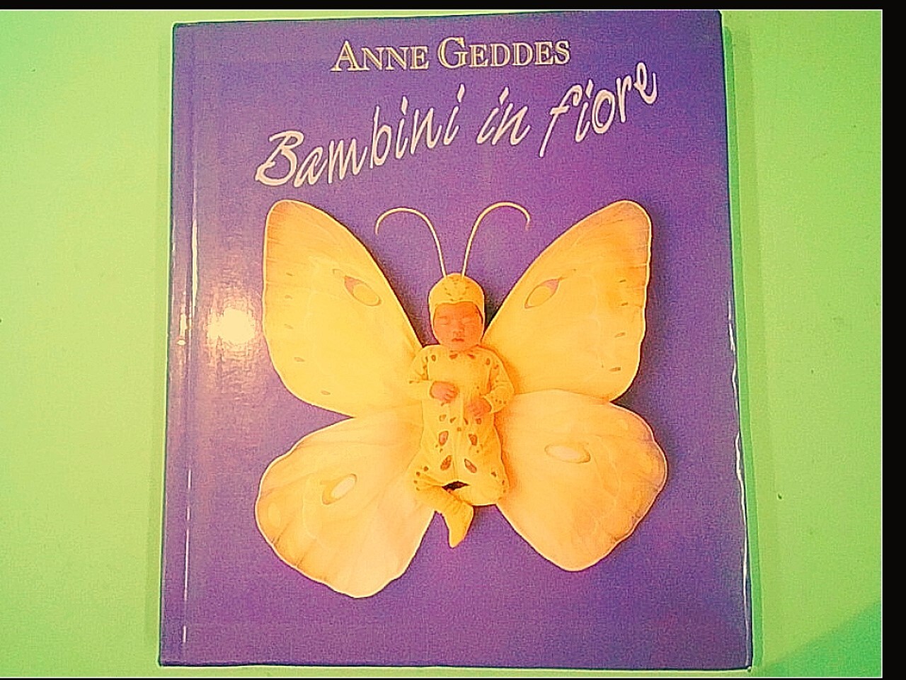 BAMBINI IN FIORE ANNE GEDDES EDICART