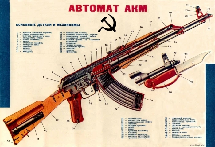 Guns Military Rifles Charts Assault Rifle Posters