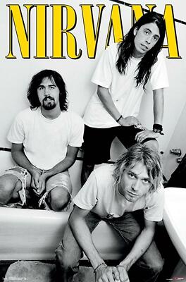 Nirvana - Trio - Group Shot 34x22.25 Music Art Print Poster Kurt