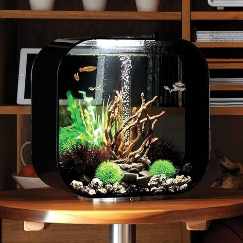 biOrb LIFE 30L Aquarium Fish Tank with Multi Colour LED Lighting - Black - Picture 3 of 8