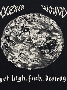 Nirvana Jesus Lizard | eBay