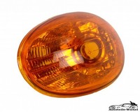 Blinker Blinkleuchte FüR Fiat Multipla Links Vorne 99-10