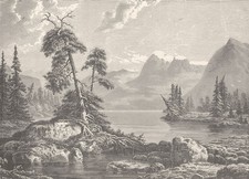NORWAY. A view on the Hardangerfjord 1890 old antique vintage print picture