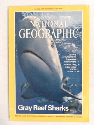 National Geographic January 1995 Gray Reef Sharks Magazine Nile Map
