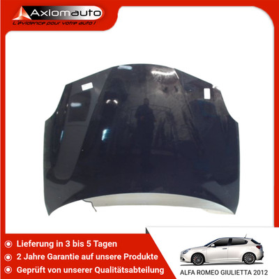   HAUBE   ALFA ROMEO GUILIETTA 2010- 6000634832  