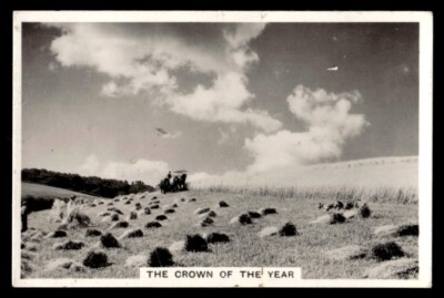 1938 Senior Service Our Countryside Cigarette Card #1 Crown of the Year photo